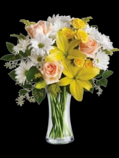 Daisies and Sunbeams