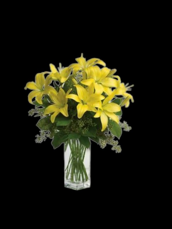 Lily Sunshine