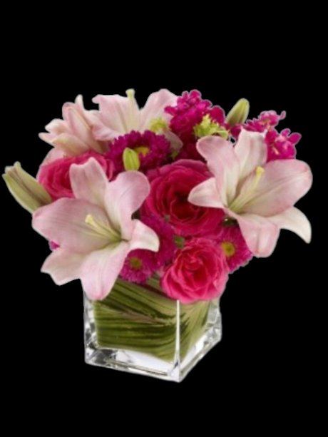 Posh Pinks