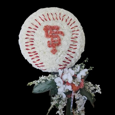 SF Giants Baseball