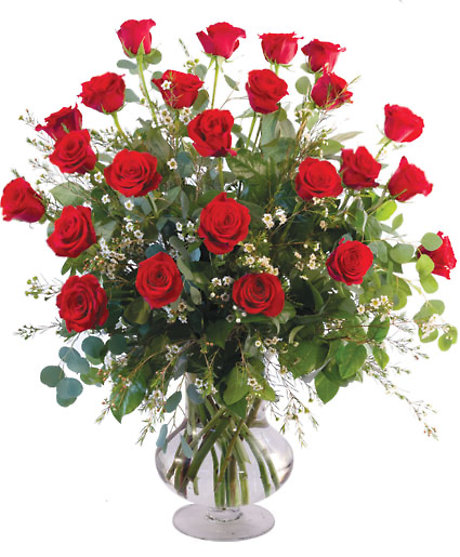 Two dozen red roses vase arrangement
